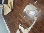 CarpetDamage