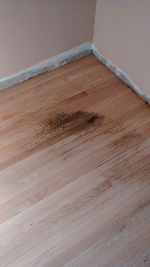 Pet Stains On Hardwood Flooring, How To Get Black Pet Stains Out Of Hardwood Floors