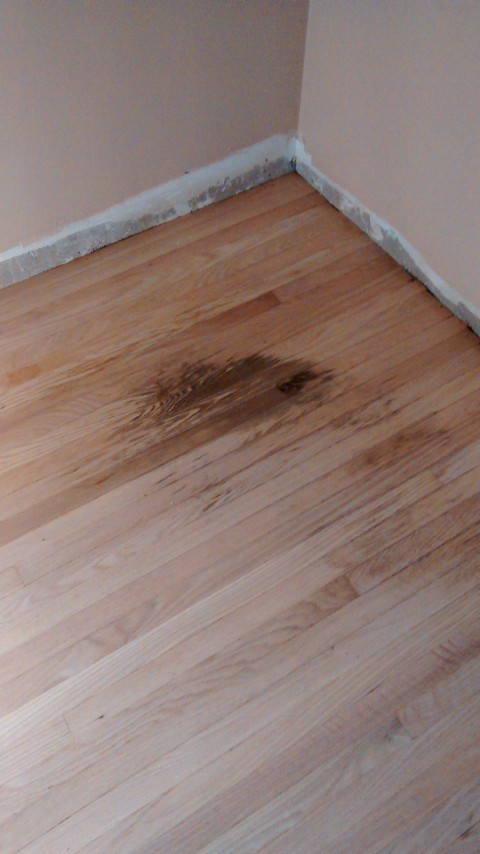 Pet Stains On Hardwood Flooring