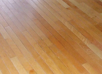 Hardwood Floor Damage