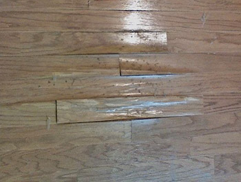 Hardwood Floor Damage