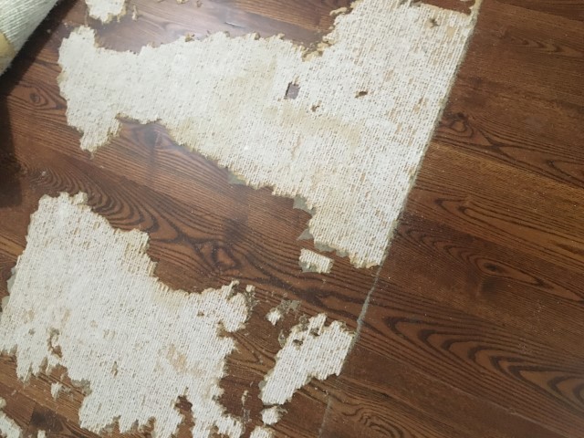 Ash floor refinishing